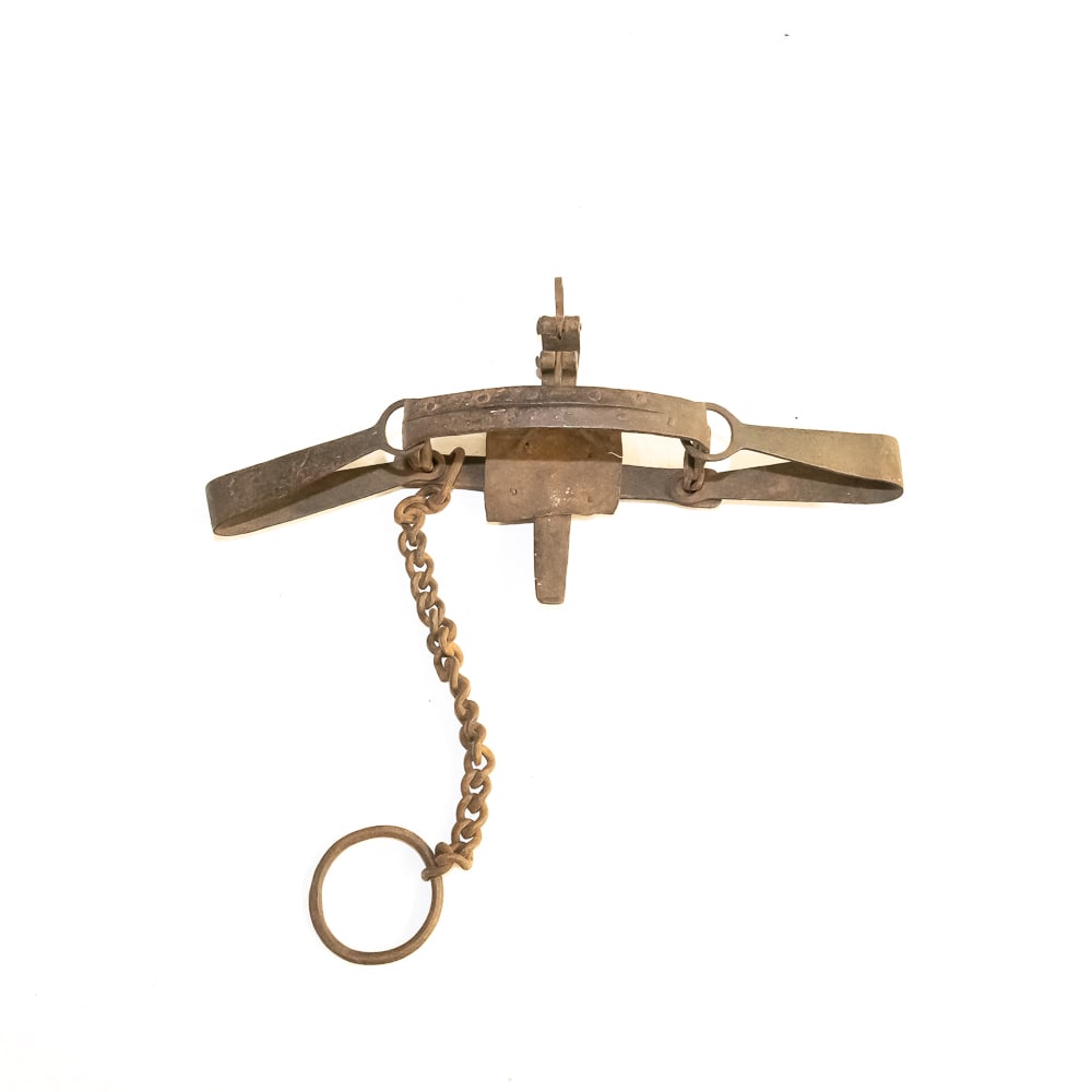 Antique Double Longspring Wolf Trap: This impressive, heavy-duty double longspring trap—likely a size #4 or #4 1/2 designed for wolf or cougar—exhibits the rugged blacksmithing of the late 19th or early 20th century. The