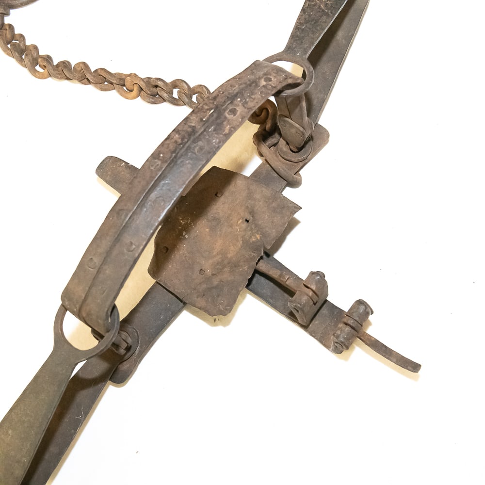 Antique Double Longspring Wolf Trap - 3