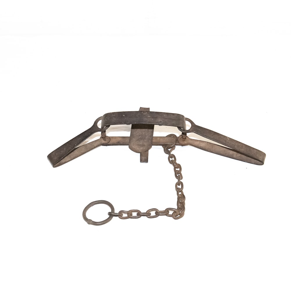 Antique Double Long Spring Bear Trap: This imposing piece of early 20th-century ironwork is a classic double long spring trap, likely intended for large game such as bear or wolf. The trap features a heavy-duty frame with a solid pan,