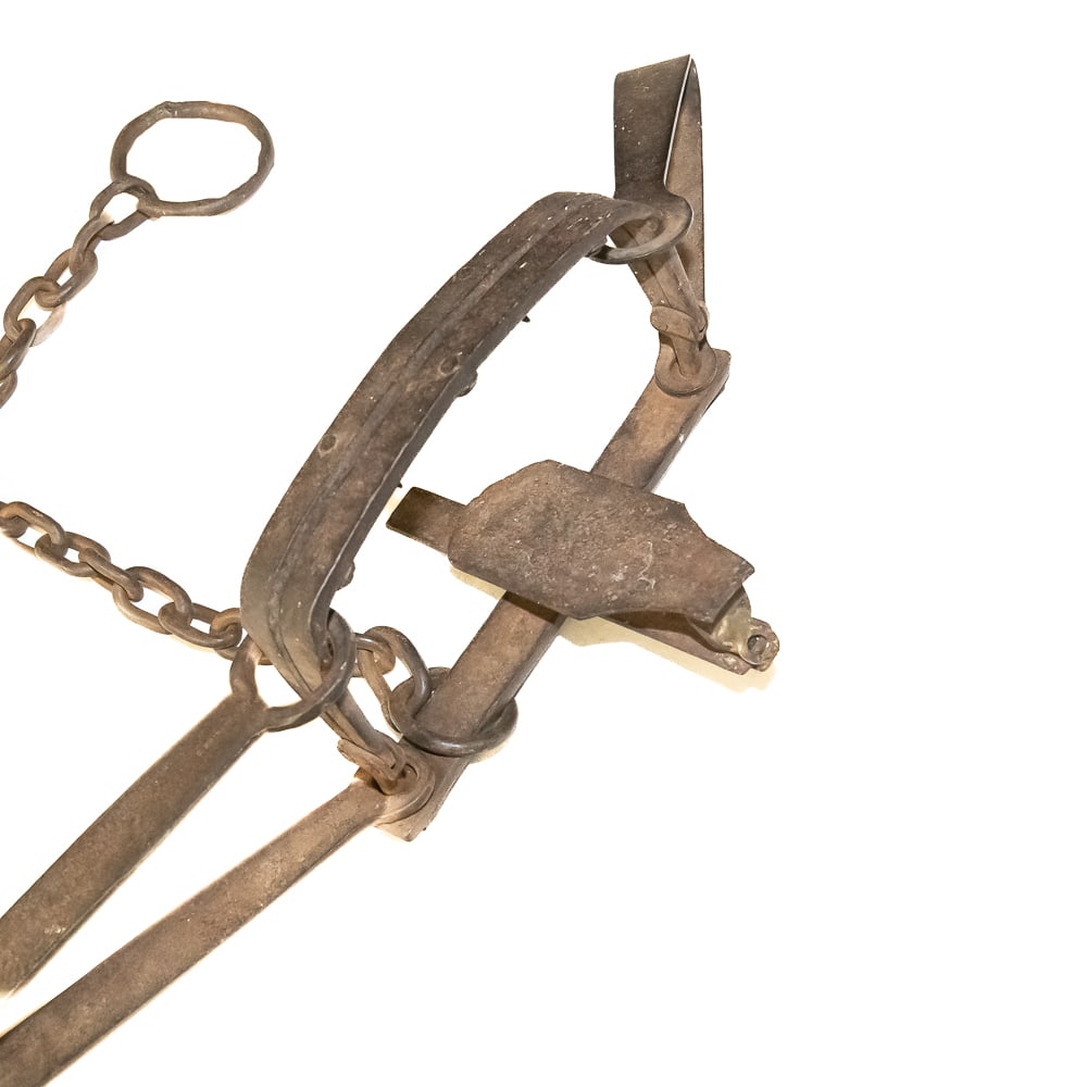 Antique Double Long Spring Bear Trap - 3