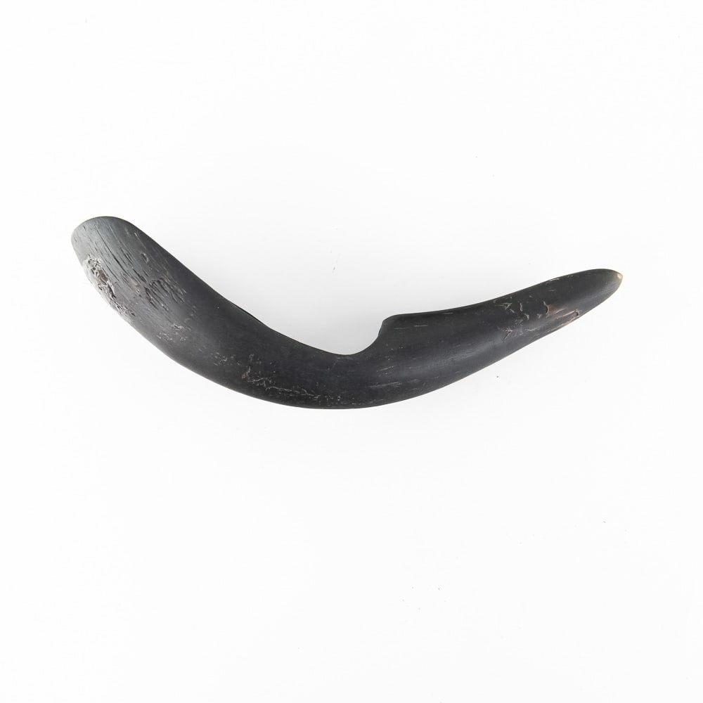 Buffalo Horn Spoon/Ladle: This is a superb example of a North American hand-carved horn implement, crafted from a dense, dark material, most likely buffalo or bovine horn. Its distinct, crescent-like form, featuring a deep,