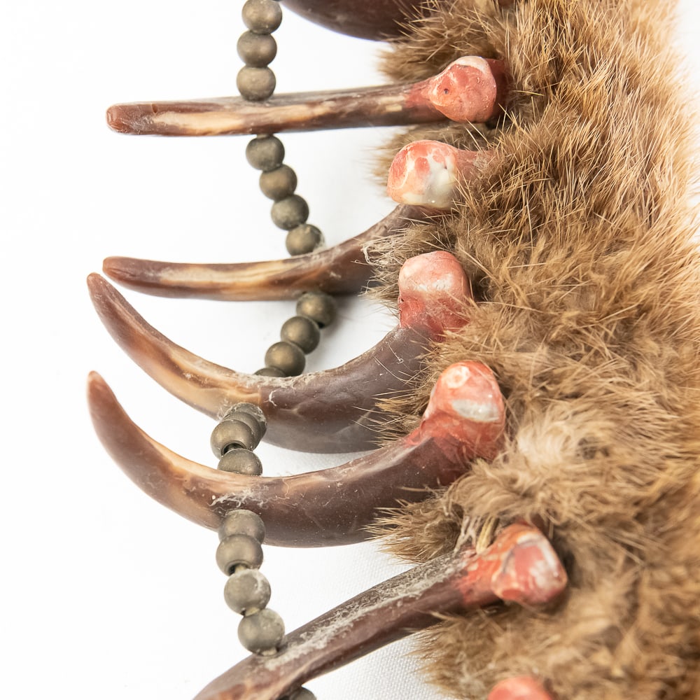 Synthetic Bear Claw Necklace - 11