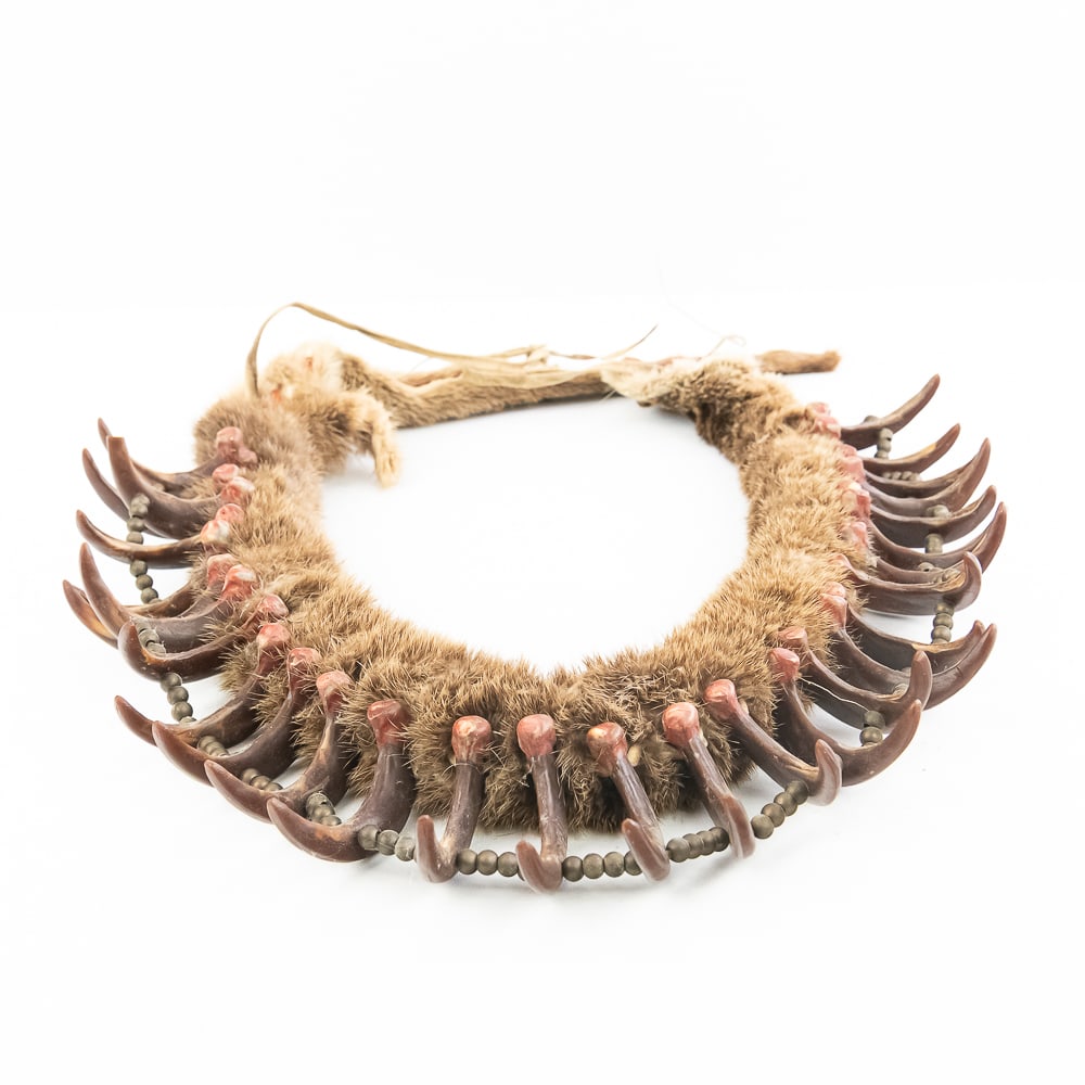 Synthetic Bear Claw Necklace - 12