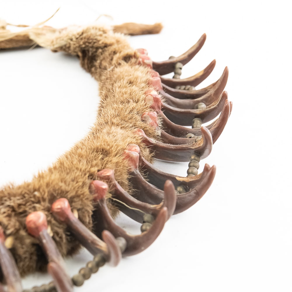 Synthetic Bear Claw Necklace - 13