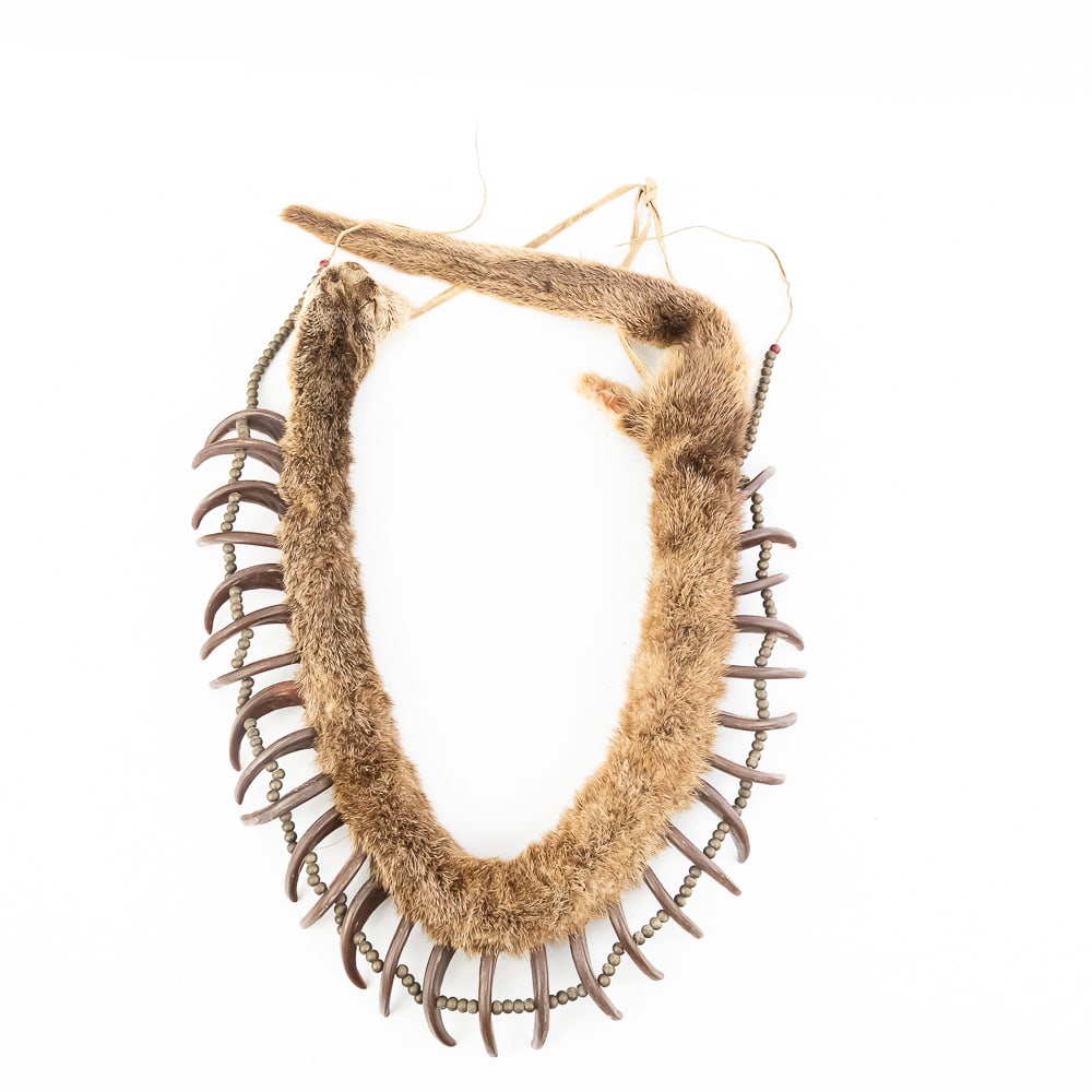 Synthetic Bear Claw Necklace: Native American necklace with synthetic bear claws. Featuring a curved arrangement of simulated bear claws resin or similar attached to fur or leather base with beadwork in between the individual