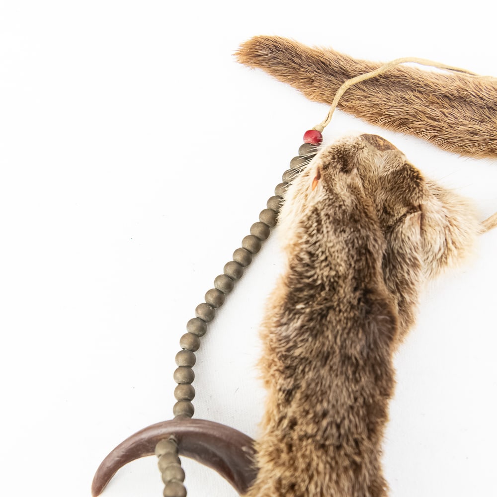 Synthetic Bear Claw Necklace - 4