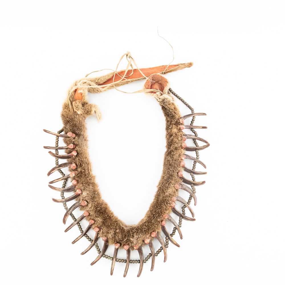 Synthetic Bear Claw Necklace - 7