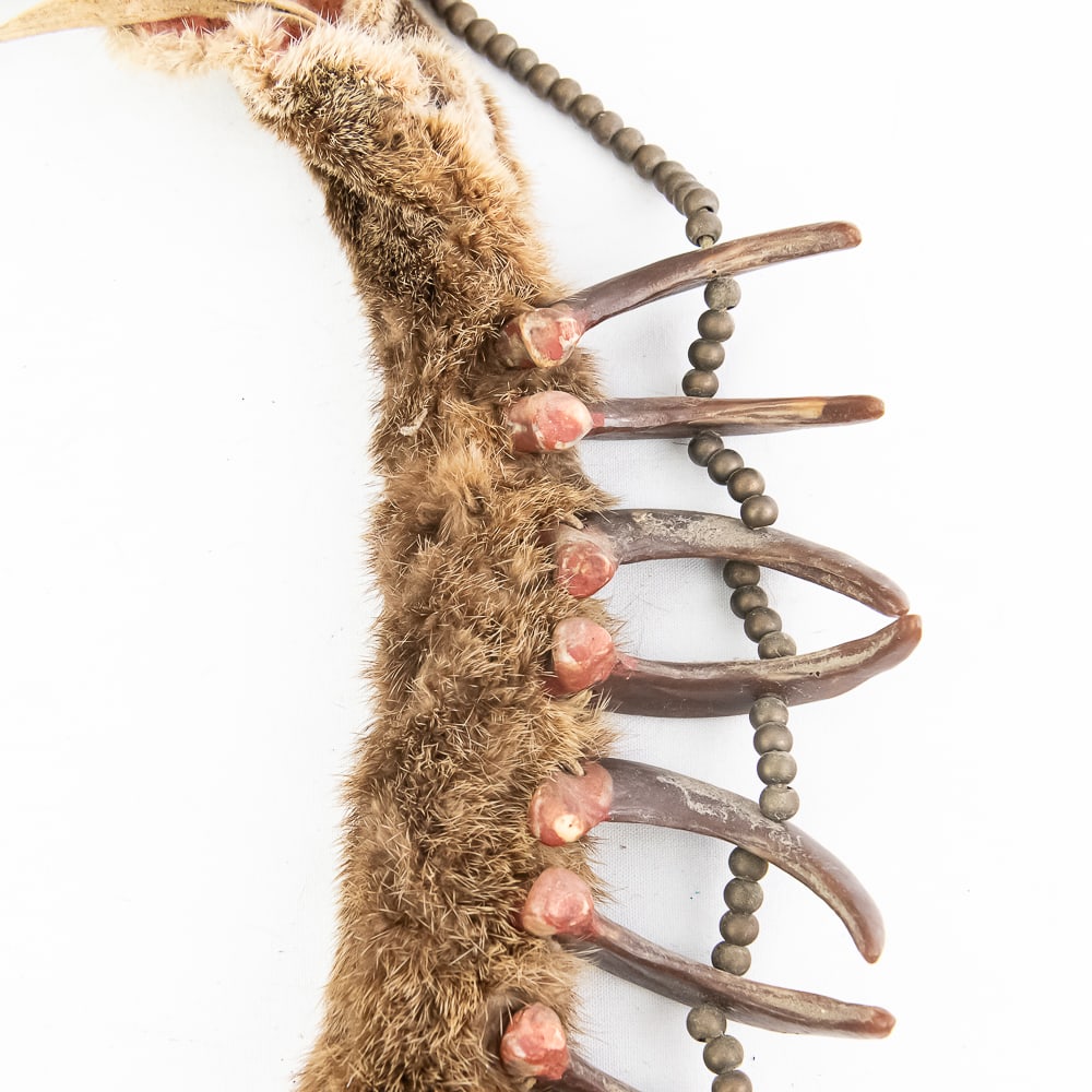Synthetic Bear Claw Necklace - 9