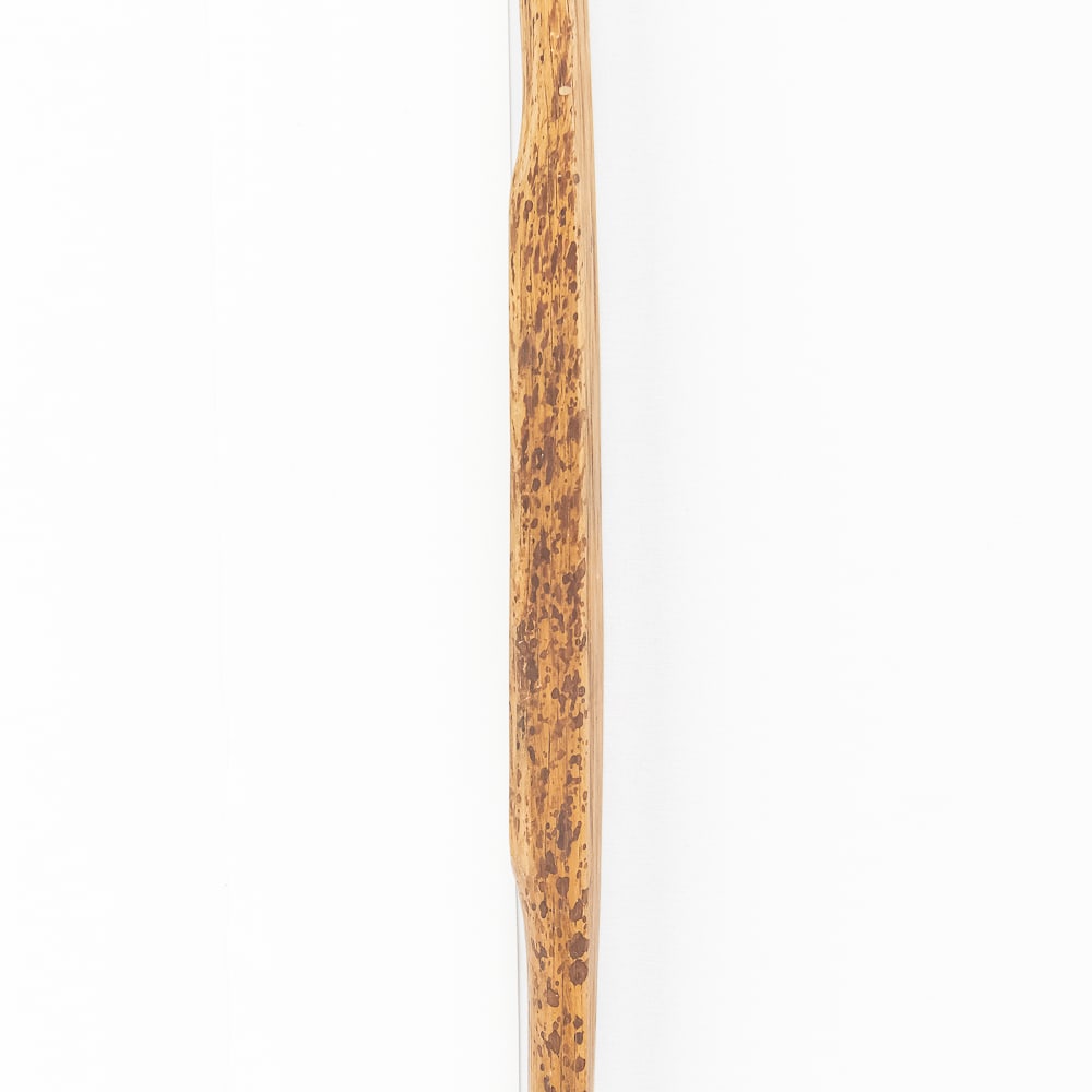 Northern Plains Bow - 15