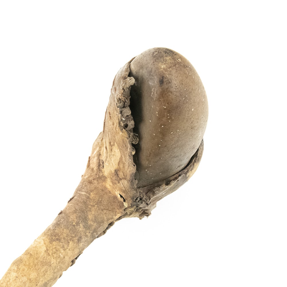 Native American Style Stone & Bone Tools (3) - 10
