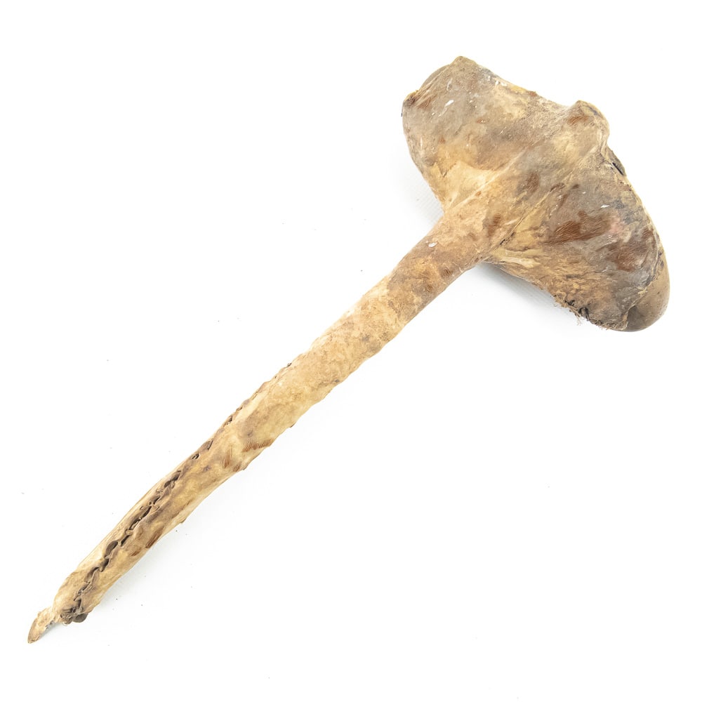 Native American Style Stone & Bone Tools (3) - 9