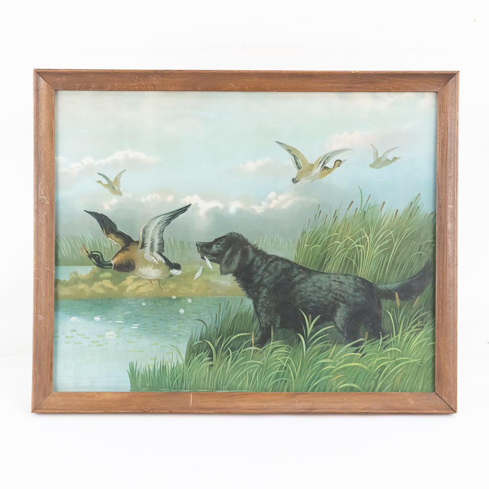 Western and Sporting Framed Art Suite - 7