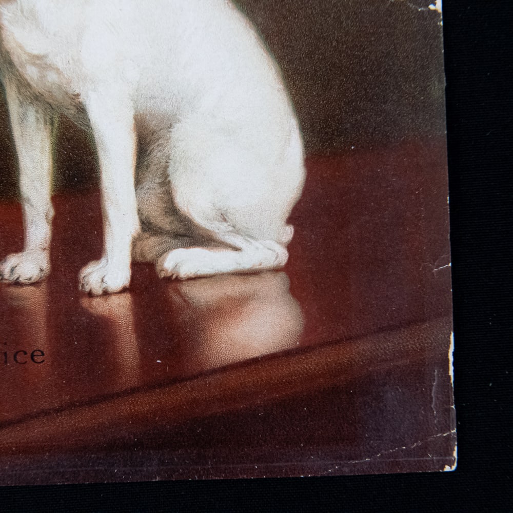 1905 Victor Talking Machine Ad Insert - 5