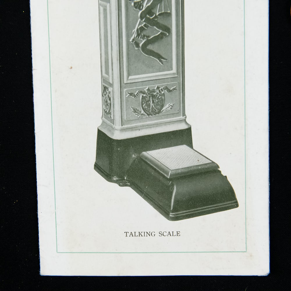 Talking Scale Brochure - 3