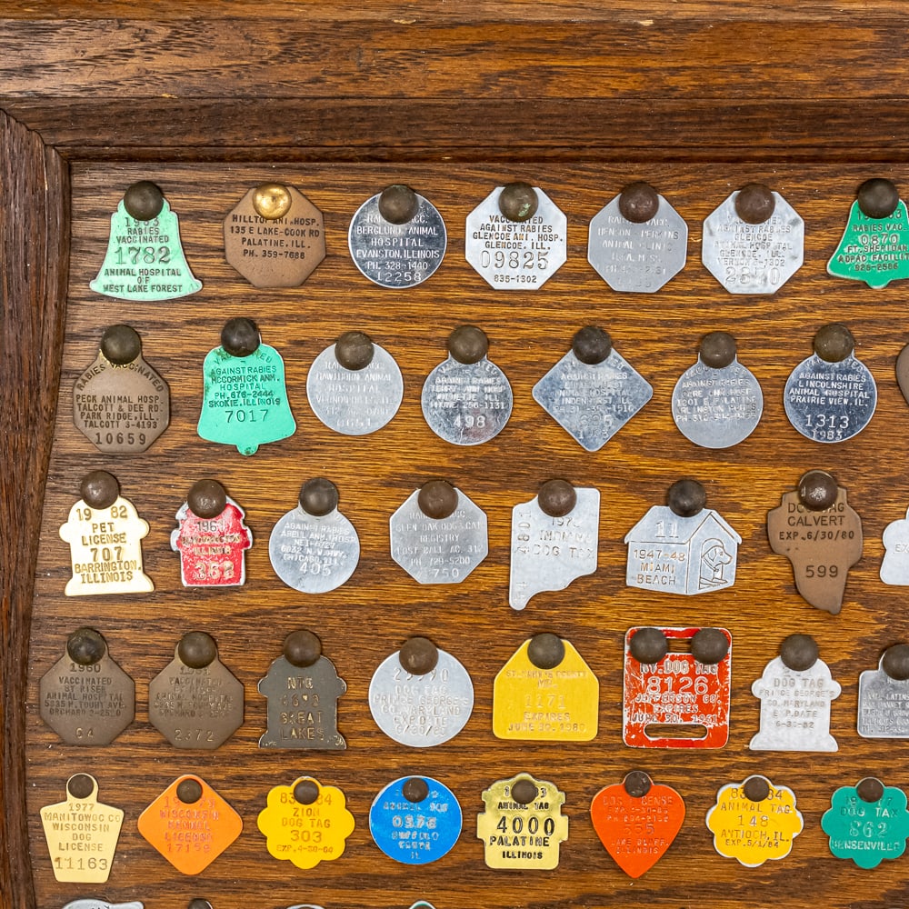 Vintage "Dog" Tag Display - 2