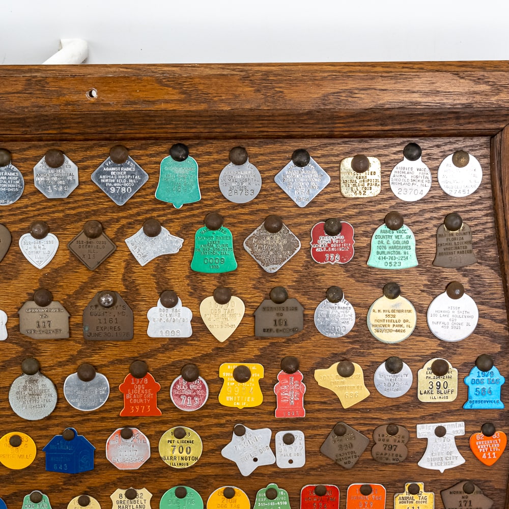 Vintage "Dog" Tag Display - 3
