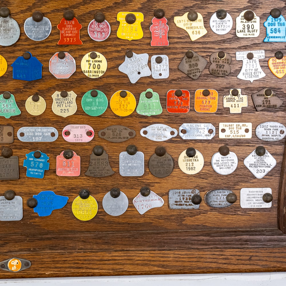 Vintage "Dog" Tag Display - 5