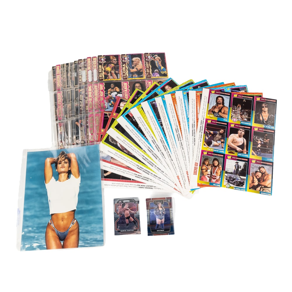WWF WWE Wrestling Collector Assortment: Vintage WWF WWE card collection showcasing (99) assorted Action Packed & (13) uncut sheets from WWF magazine Wrestling cards including Razor Ramon, Doink, Undertaker, Bret Hard, Bam Bam Bigelow,