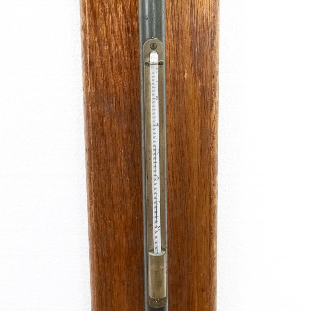 Antique Fortin-Type Stick Barometer - 5