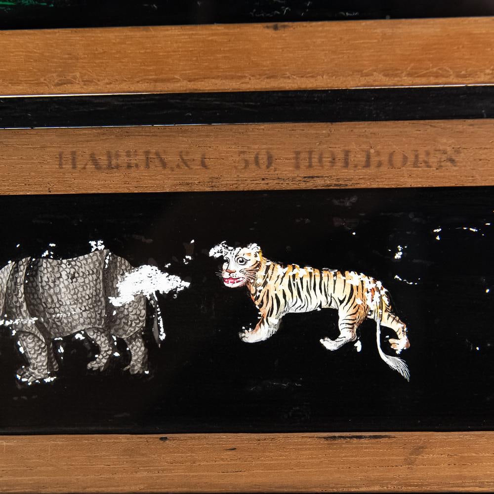 Harris & Co. Magic Lantern Slide Display - 5