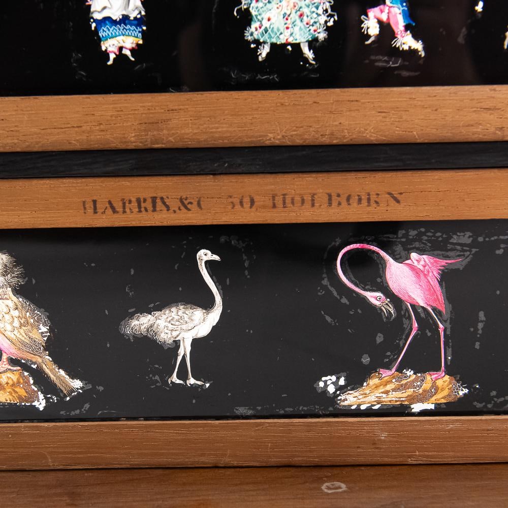 Harris & Co. Magic Lantern Slide Display - 9