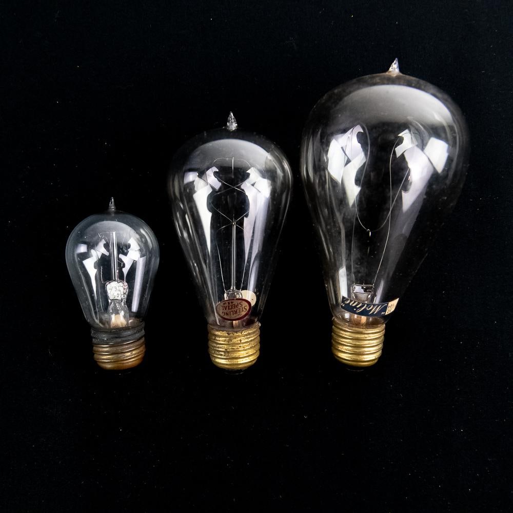 3 Antique Edison Filament Light Bulbs: The collection includes a large bulb labeled "Moline" with an extended looped filament structure, a medium "Sterling Special 48W" bulb displaying an elaborate spiral filament cage design, and a