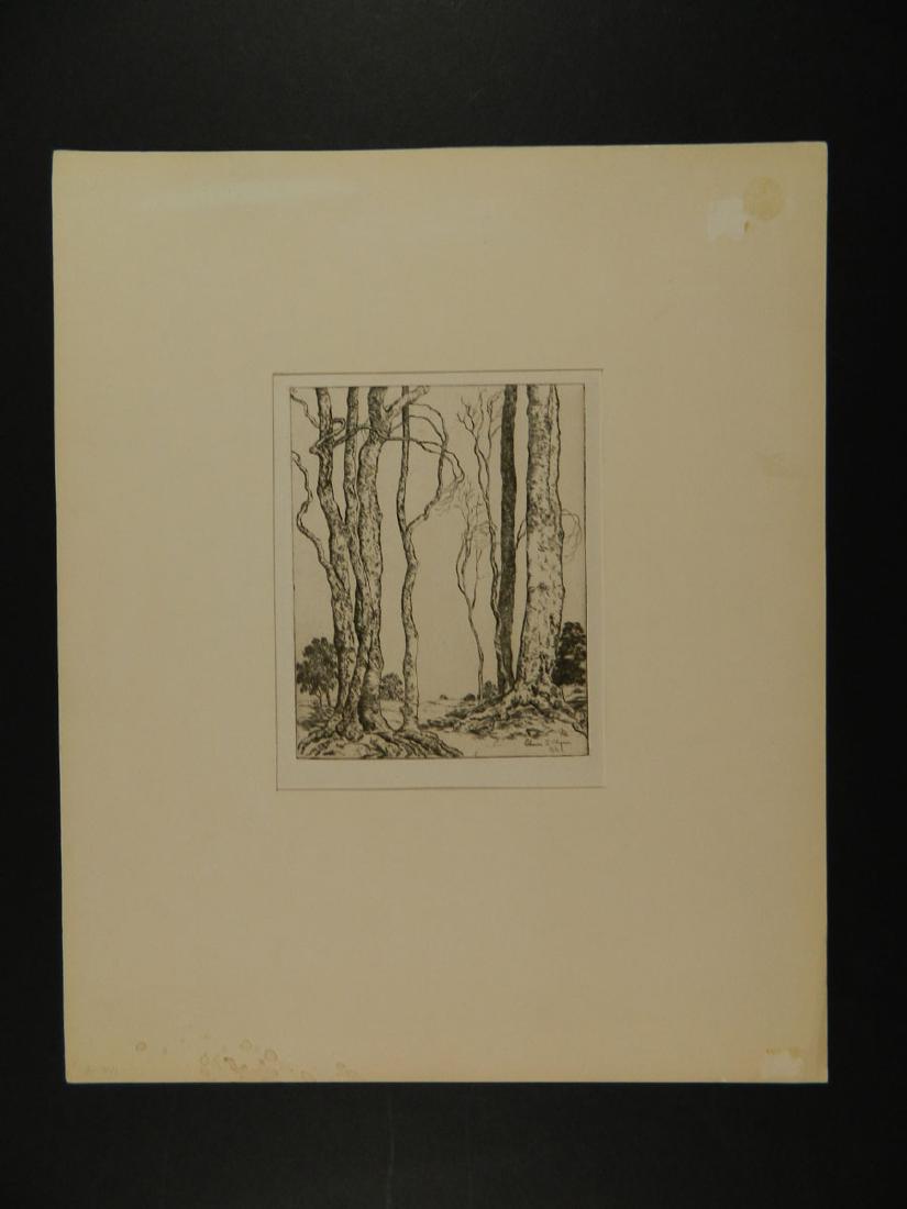 Edwin Klymer "Giant Beech": TYPE:Art SUB TYPE:Print REGION:United States SUB REGION:Massachusetts MEDIUM: SGD/UNS:Signed LR TITLE:Edwin Klymer "Giant Beech" CATALOG NOTES:Edwin Klymer "Giant Beech" INSIDE HEIGHT:6 3/4 INSIDE WID