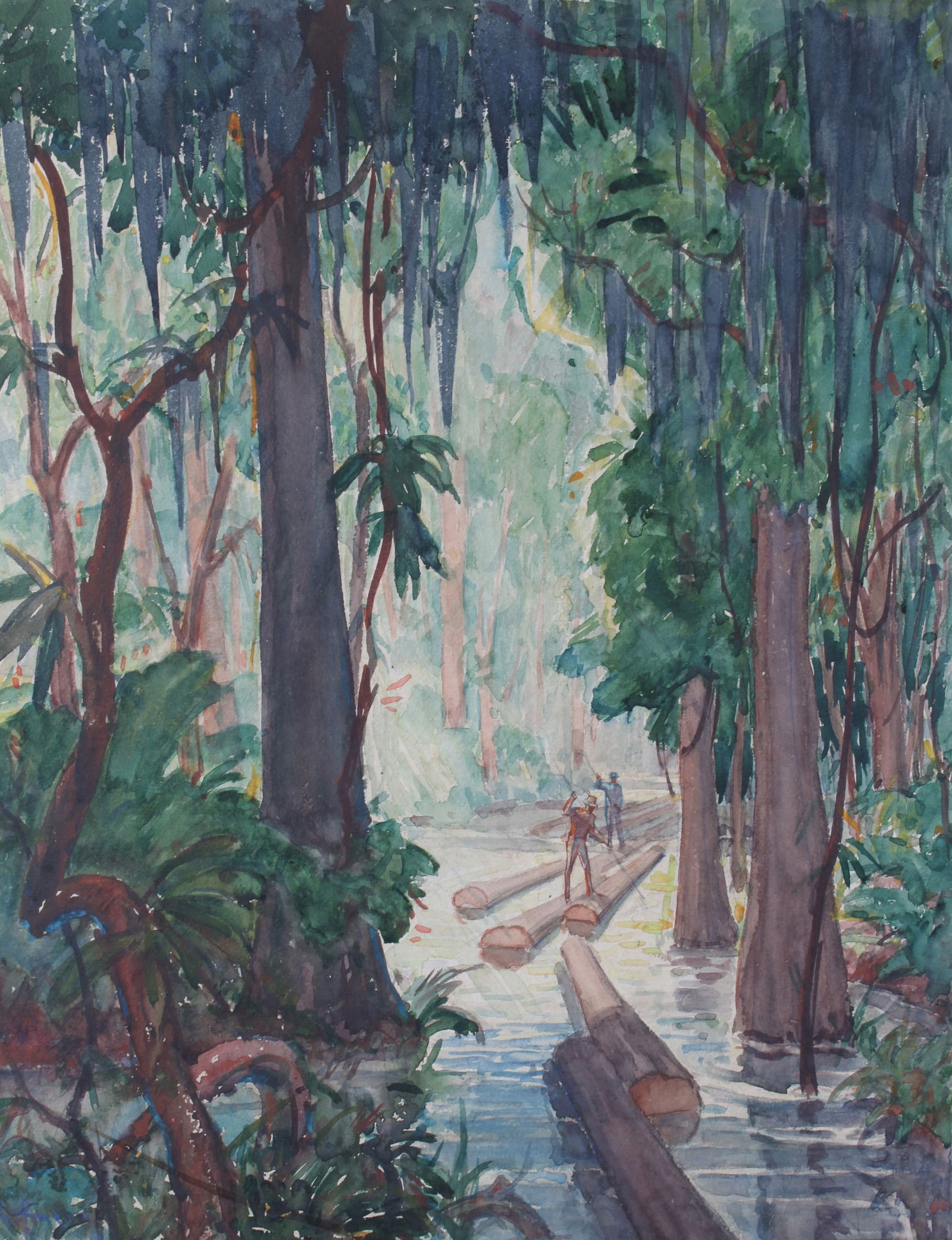 American Southern Bayou Swamp Logging Live Oaks Spanish Moss WH Johnson ? (1 of 9)