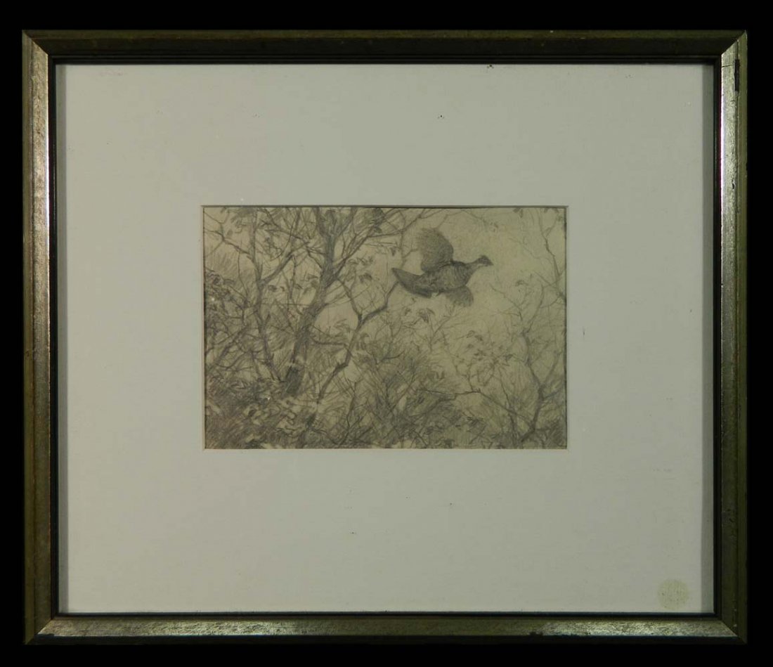 AL Ripley Grouse in the Trees (1 of 6)