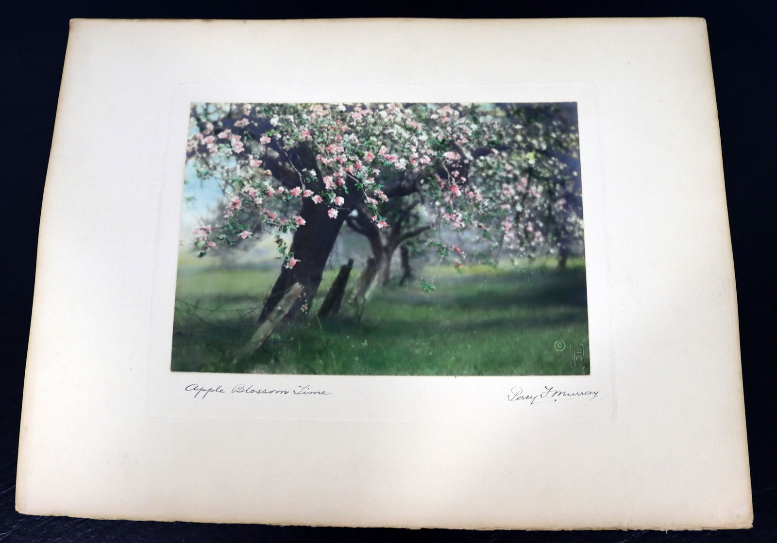 Percy Murray Apple Blossom Time Signed Vintage Photo (1 of 6)