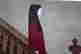 item-133301356=5