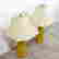 item-133301489=2