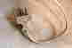 item-133301495=6