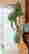 item-133301587=5