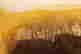 item-133301716=5