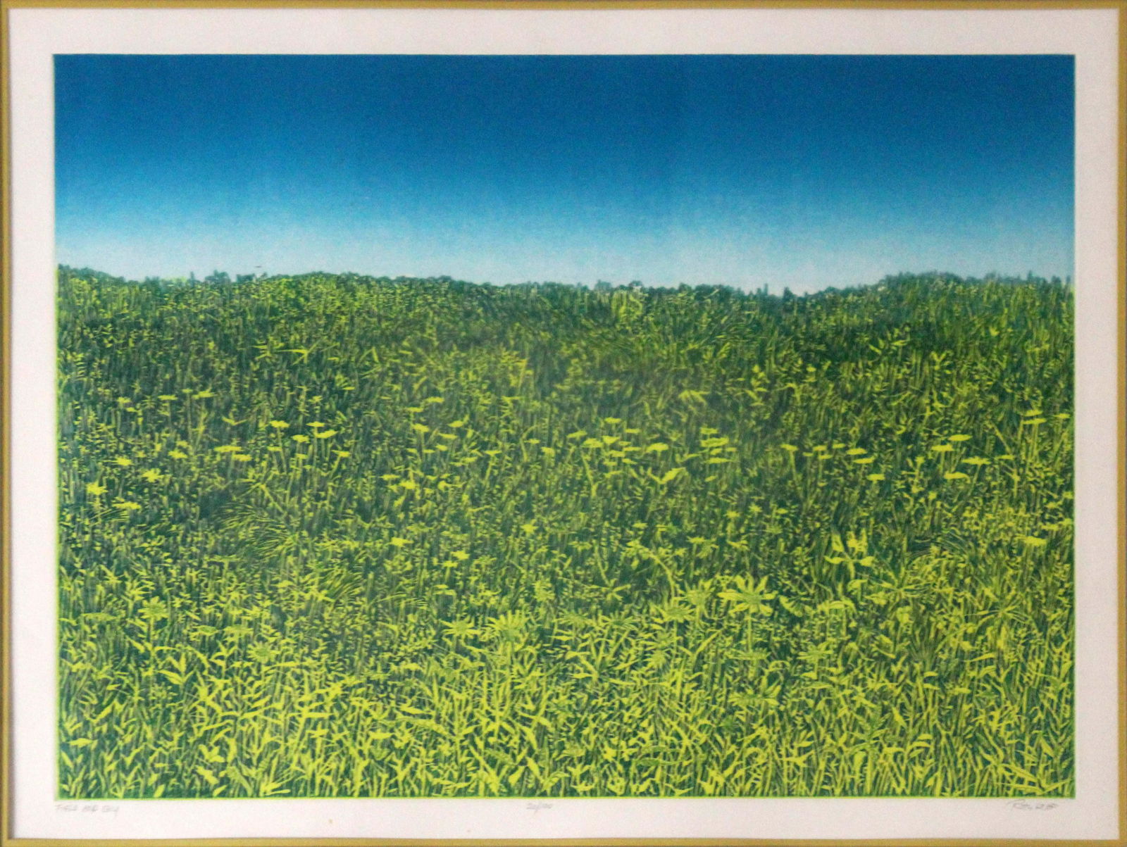 Ruth Leaf Field and Sky Signed Modern Etching 20/100 Framed: A calming yet also energizing etching depicting a bright sunny field full of yellow flowers titled Field and Sky by Ruth Field. Hand signed in pencil on the bottom right, titled bottom mid, and an ann
