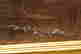 item-133731134=9