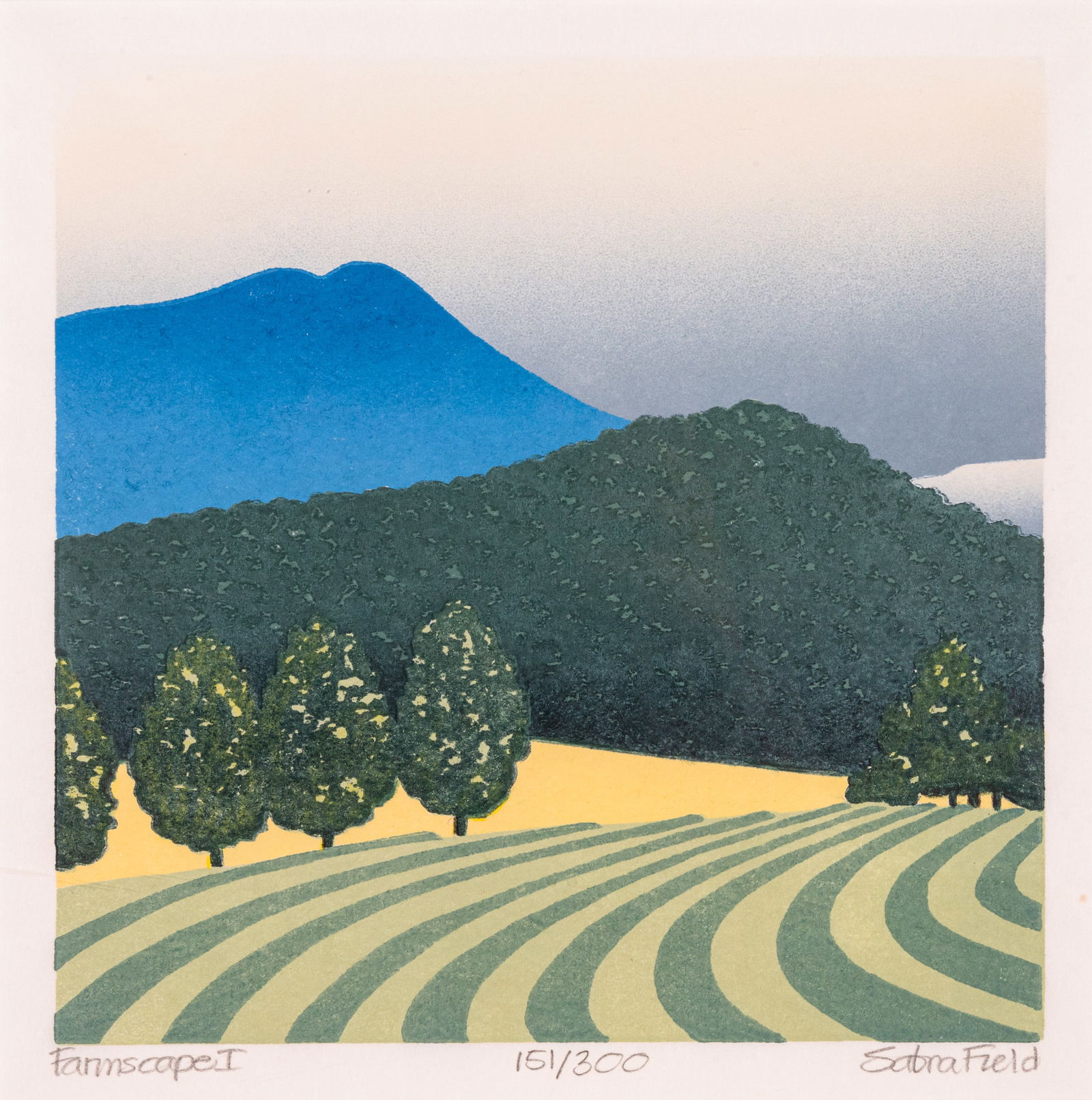 Sabra Field Farmscape I Signed Vintage Modern Woodcut on Paper 151/300 Framed 1980s (1 of 10)