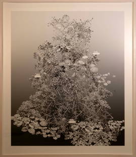 Alyson Shotz False Branches #9 Signed Contemporary Lamda Print 2/6 Framed 2002: A minimal black and white lamda print on paper titled "False Branches #9" by American artist Alyson Shotz. From edition 2 of 6. Printed in 2002. Gallery tag from Mixed Green Gallery on verso. Alyson S