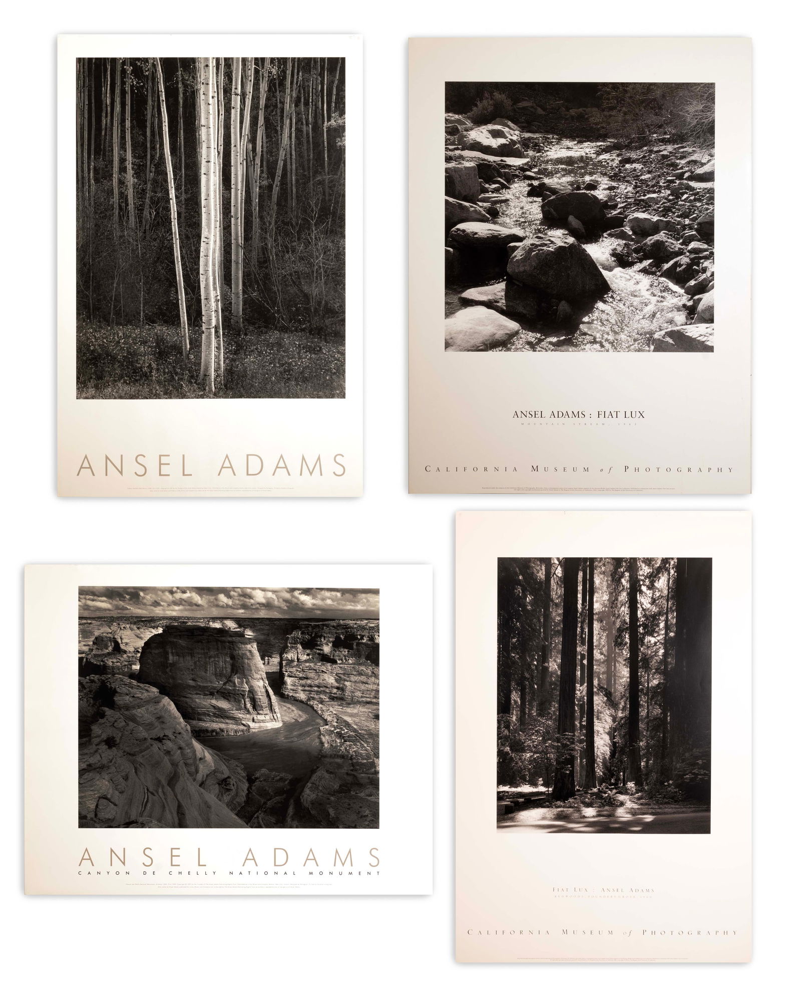 Ansel Adams Nature Series II Set of 4 Vintage Lithographic Posters Unframed 1990s (1 of 14)