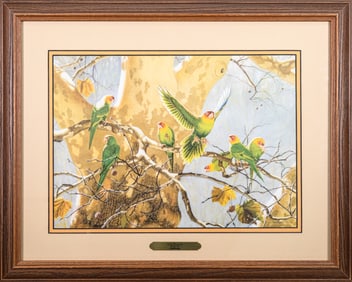 Stephen Leed Lost Treasure Signed 2006 Contemporary Wildlife Watercolor on Paper Framed