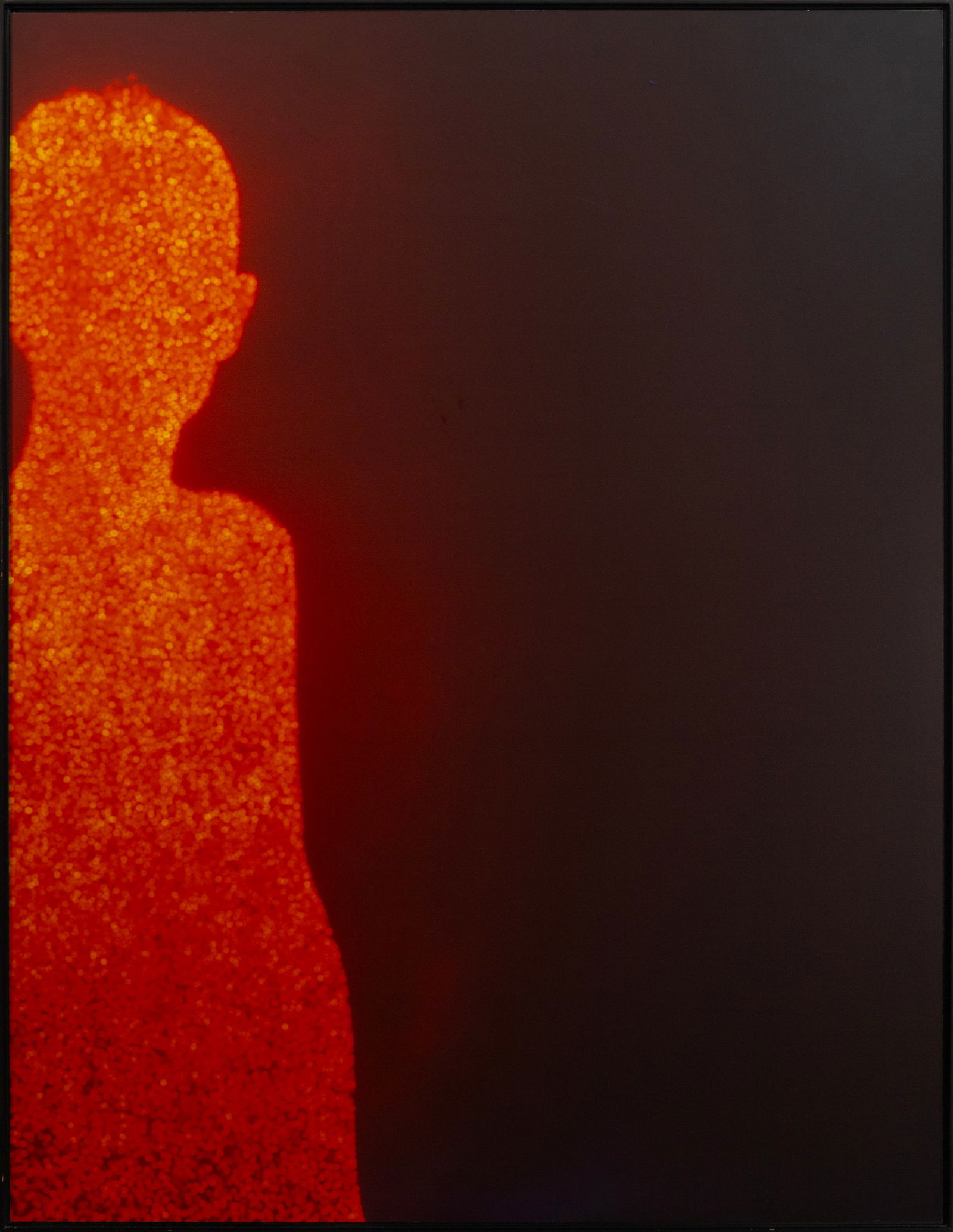 Christopher Bucklow - Untitled (Guest Series, Red), c. 1990 Unique Cibachrome Photograph (1 of 8)