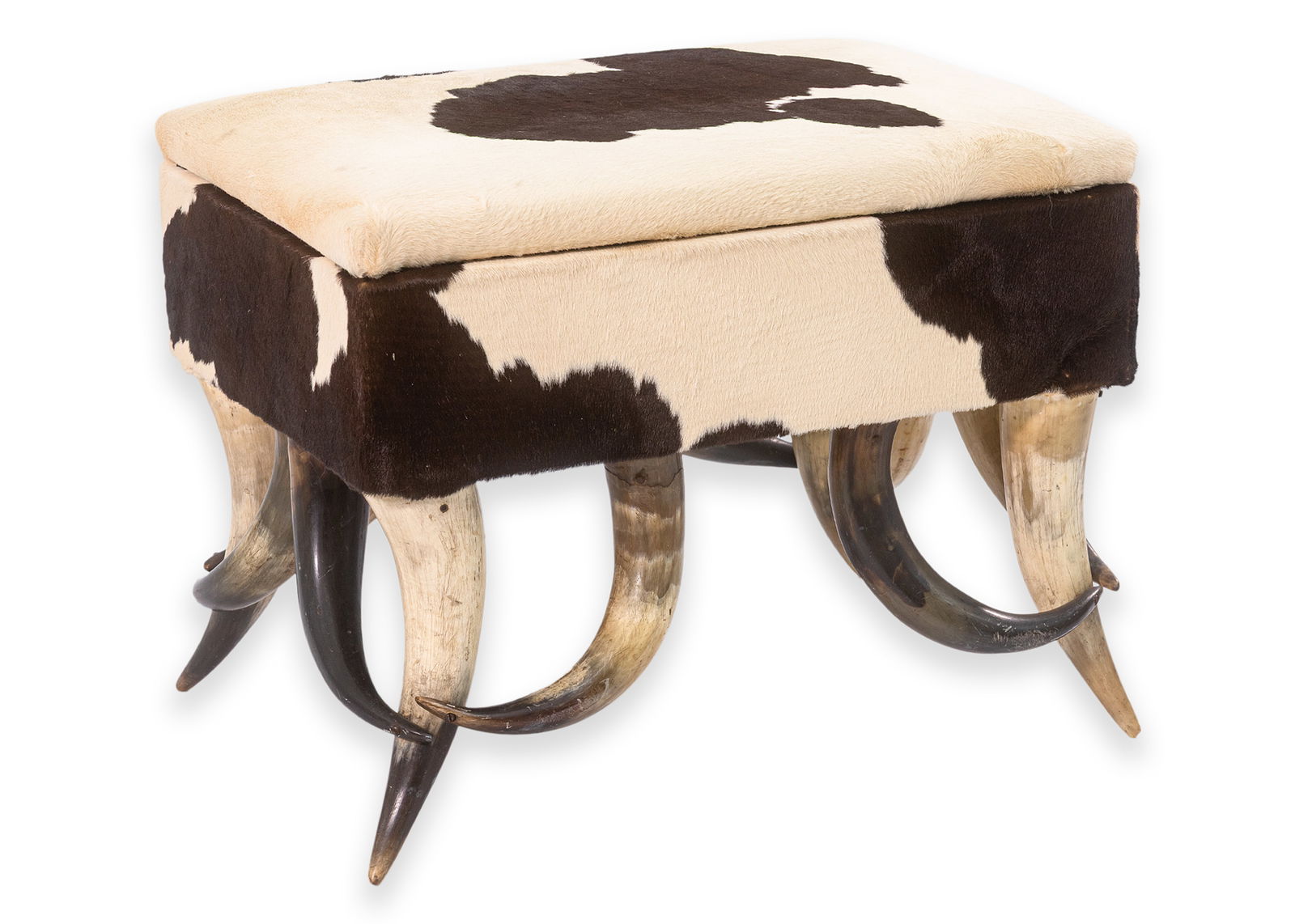Contemporary Modern Cowhide Longhorn Ottoman Footstool with Storage (1 of 5)