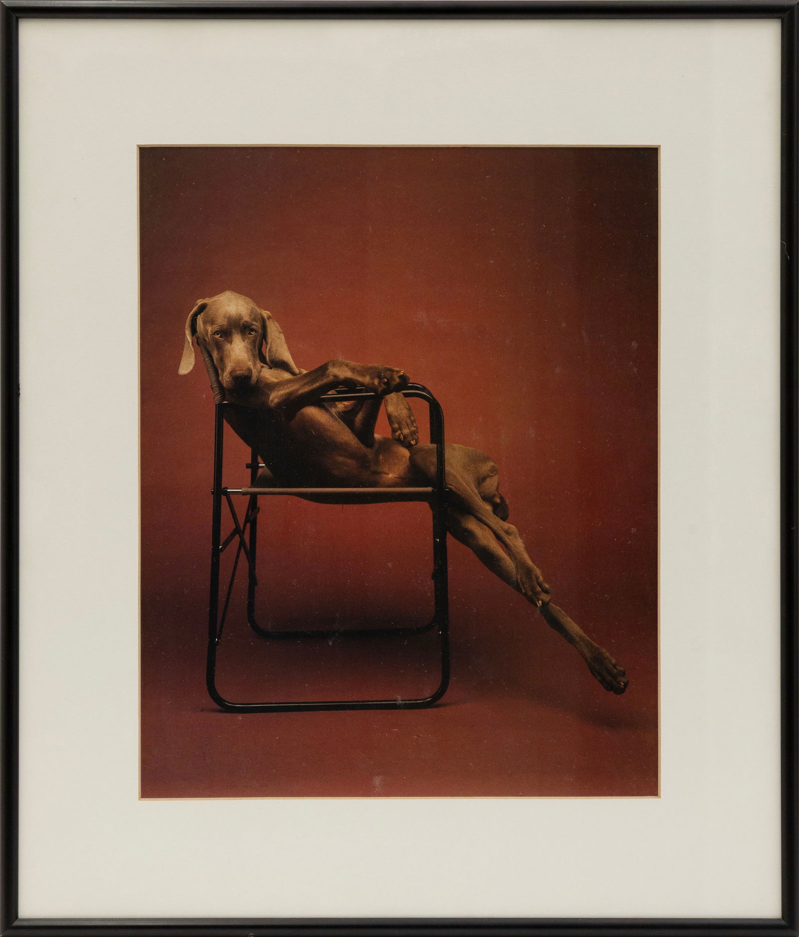 William Wegman Lolita 1990 Contemporary Color Photography Print on Paper Framed (1 of 4)