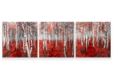 Peter Lik Rouge (Triptych) 2014 Signed Contemporary Photography Print 534/950
