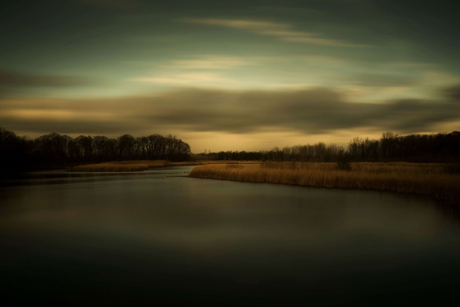 Brian Day, Exhalations, 2019, Archival Ink on Conecolor Pro Print Museum Etching Paper: A contemporary photograph print titled “In Exhalations (2019)” by acclaimed Detroit photographer Brian Day. The composition captures a quiet body of water bordered by reeds and distant tre