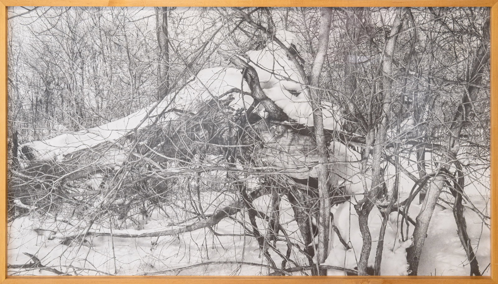Armin Mersmann - Simplicity of Silence 2011-12 Signed Graphite Drawing Contemporary Hyperrealism: A contemporary graphite drawing on Arches hot press board titled “Simplicity of Silence” by German-American artist Armin Mersmann. Hand signed lower right. The work was dedicated to the ar
