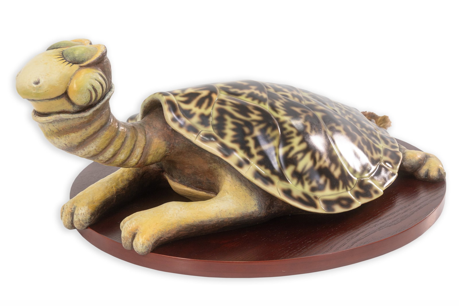 Dr. Seuss - The Turtled-Neck Sea Turtle (Collection of Unorthodox Taxidermy) Signed 417/850 COA (1 of 11)