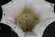 item-56629403=4
