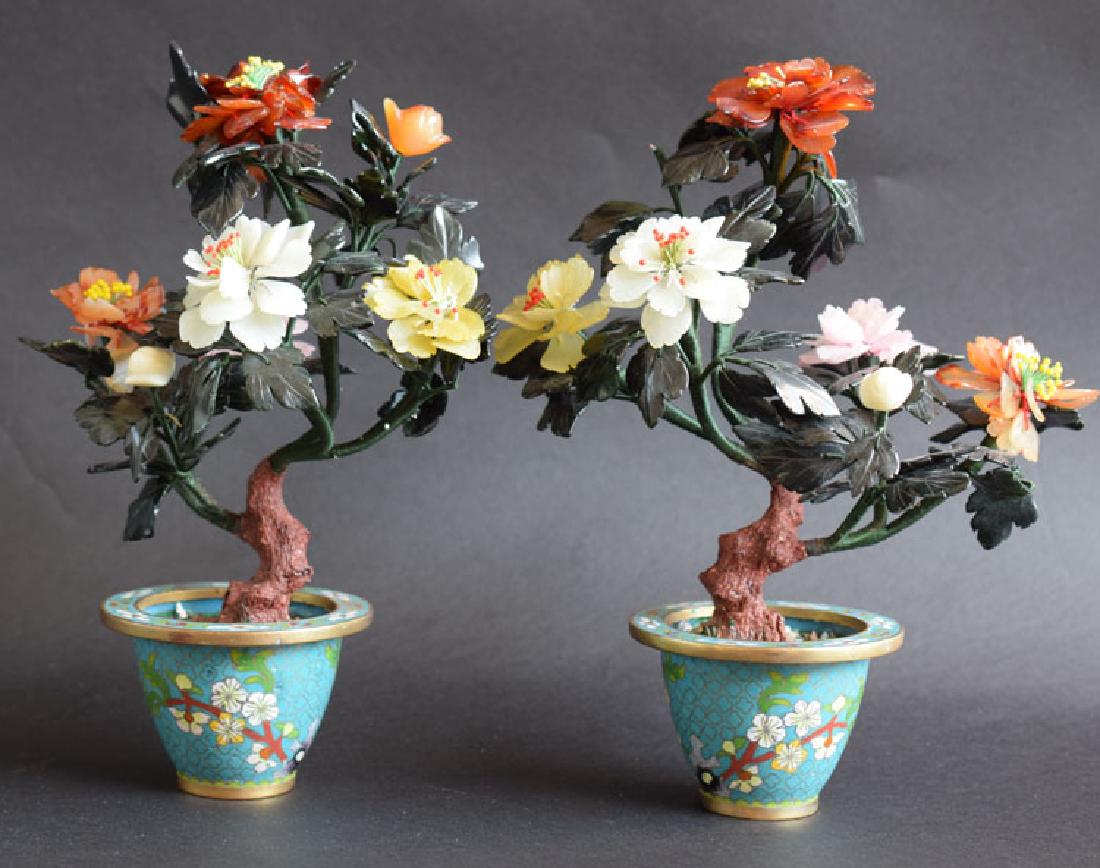 Pr. Chinese jade trees, depicting peony blossoms (1 of 3)